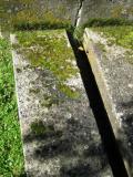 image of grave number 541909